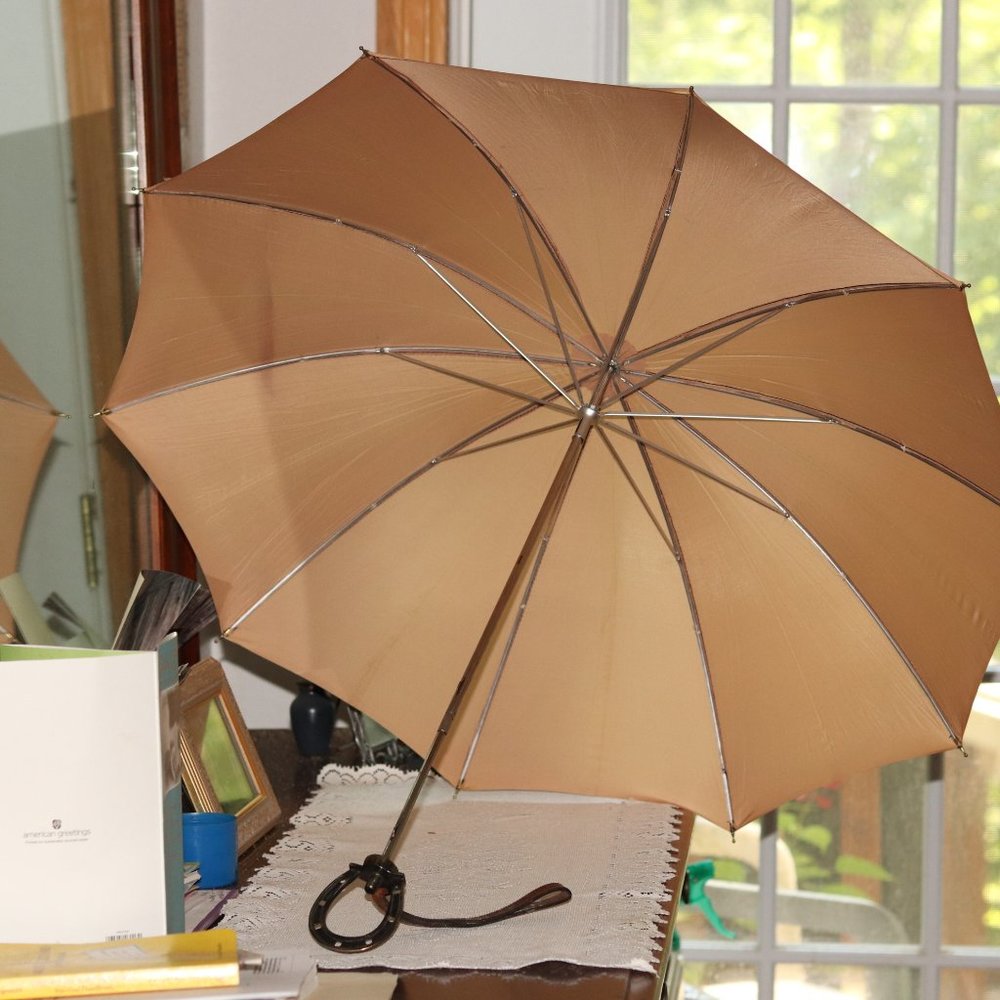 Equine Parasol / Umbrella - Horseshoe Handle and Leather Sleeve - Picture 2 of 8